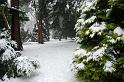 2010-12-08, Nebel (6)